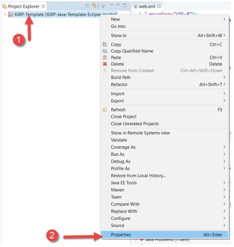Propriedades do IGRP Template