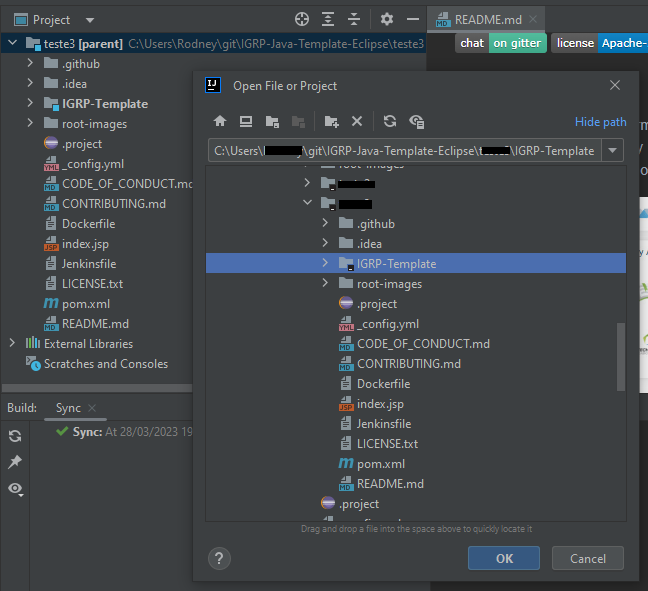 Abrir IGRP Template no Intellij